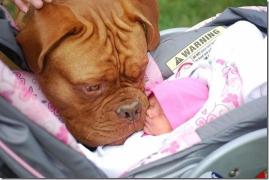viral-picdump-pics-12