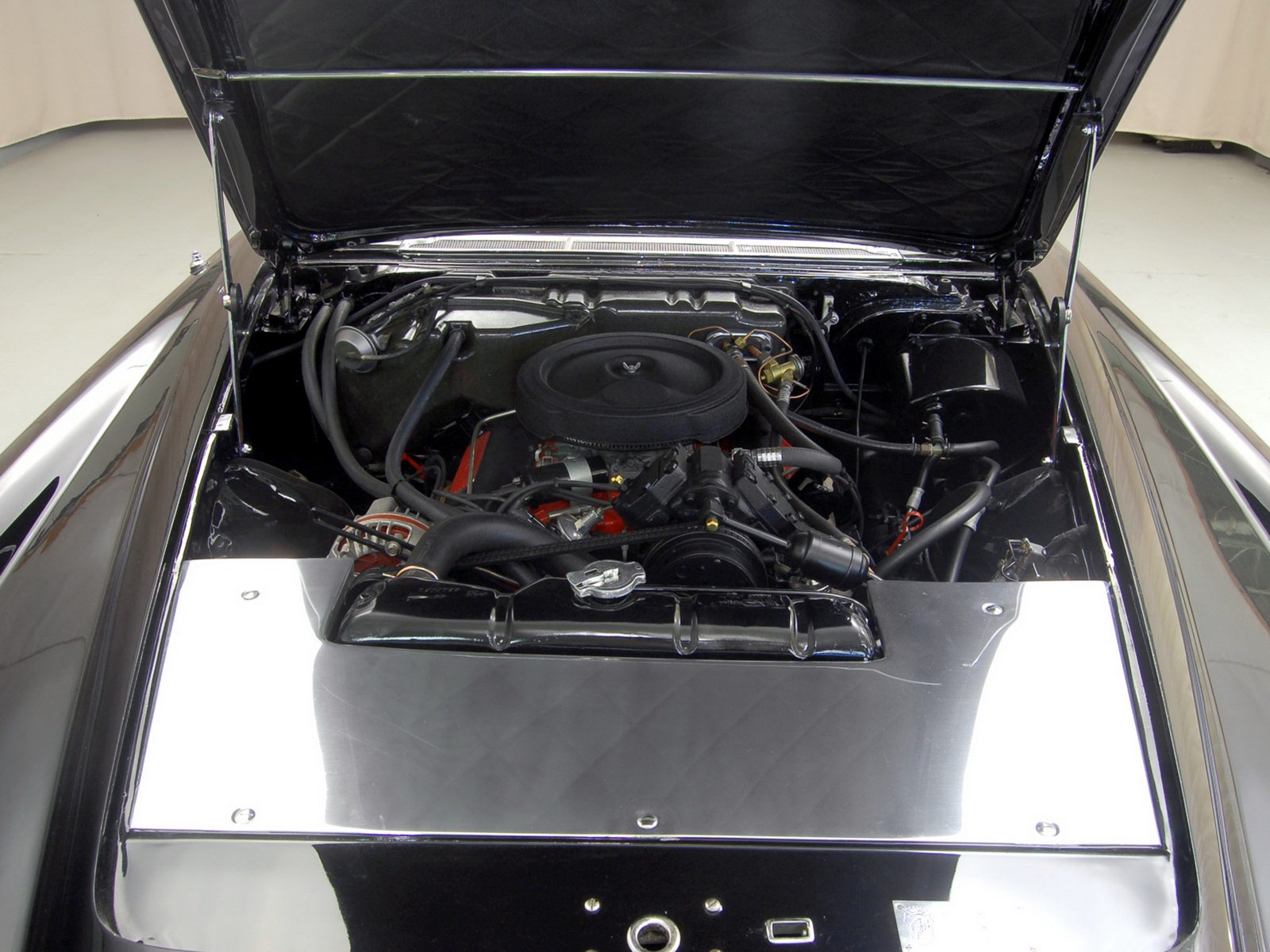 [Ghia-L6-6%255B2%255D.jpg]