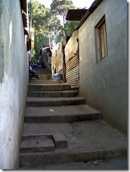 IMG00036-20111101-1546