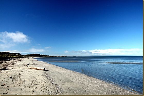 Farewell Spit Beach 2