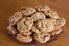 IMG_2508
