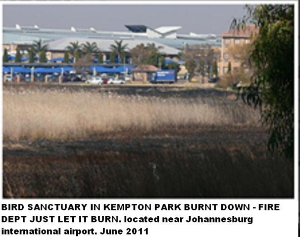 [BIRD%2520SANCTUARY%2520BURNS%2520DOWN%2520KEMPTON%2520PARK%2520NEXT%2520TO%2520AIRPORT%255B6%255D.jpg]
