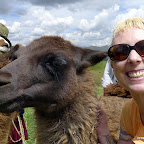 LLama mama