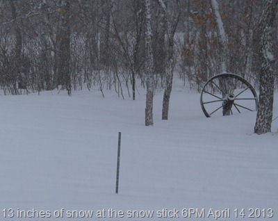 Snow stick 13 inches