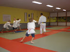 Judo - 3 juli 2009: Foto