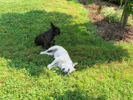 After all that planting, I think it's time for a nap.