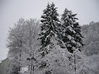 Eifel national park, Germany