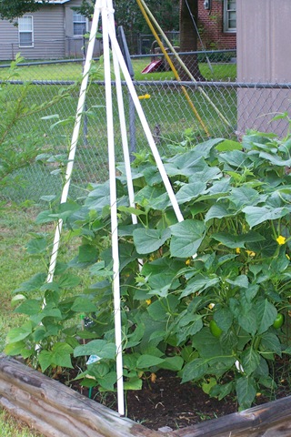 [101_0031%255B2%255D.jpg]