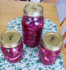 Red cabbage UK Red cabbage UK