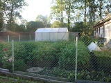 DSC07621.JPG