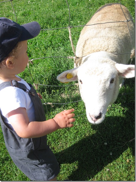2012.06.24 4-Petting Zoo (18)