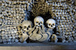 Sculls And Bones