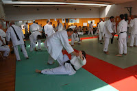 IMG_1739.jpg