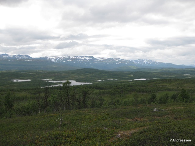 [IMG_1079%255B3%255D.jpg]