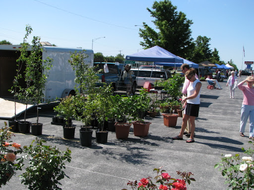 Shoppers look at plants at one of many booths open at the Farmers' Market.
