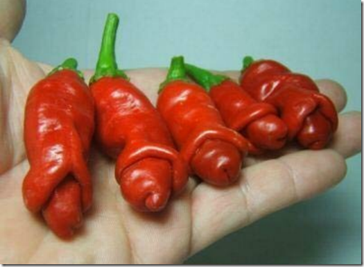 Grow-Your-Own-Naughty-Looking-Chillies-Header
