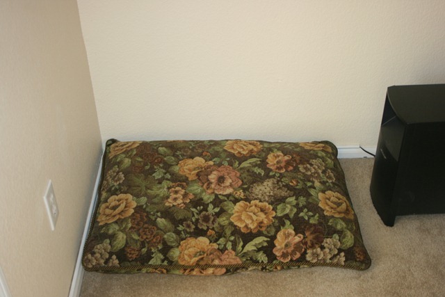 Rudi's Cushion 008