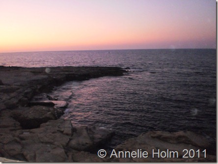 P8010170