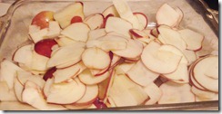 chipolte and apple crisp 020