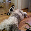 DSCN0249.JPG