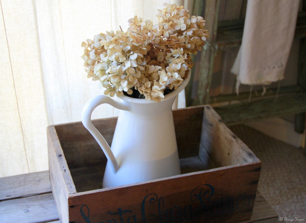 [flowers-33.jpg]
