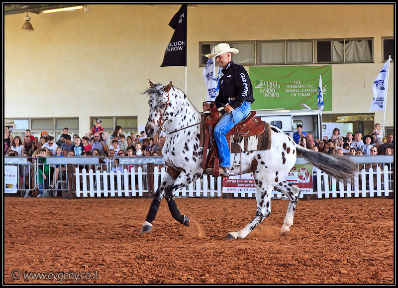 il/Фото: Stallion Show 2011 (20110416 stllion show 055 2191)
