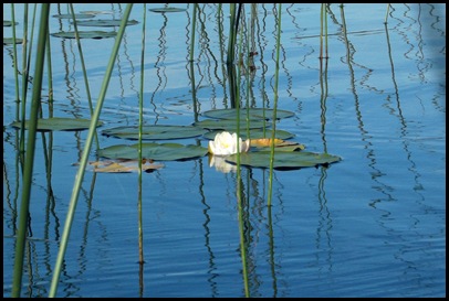 Kayaking Seal Cove Pond 026