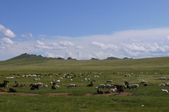 mongolei trip 1 106