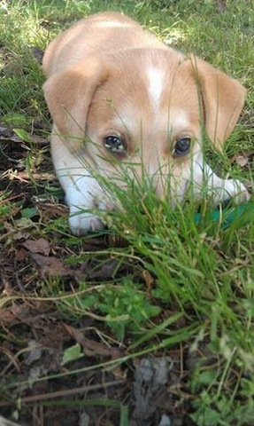 [funny-animals-cute-38%255B3%255D.jpg]