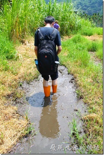 南投頭社活盆地。看到這樣現在泥巴水裏的狀況，知道為何要穿長筒雨鞋了吧！