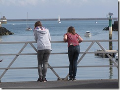 IMG_0931 IMG_0931