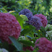 PICT1594.JPG