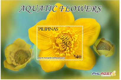 [image%255B11%255D.png]