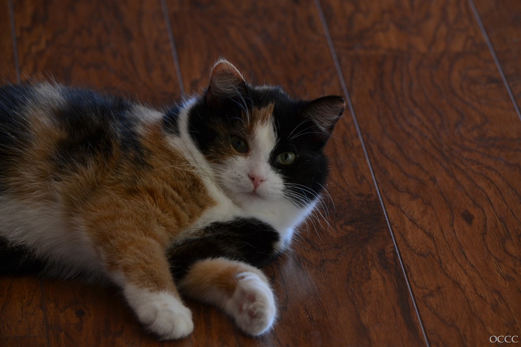 [DSC_6777%255B3%255D.jpg]