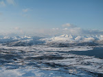 Vik