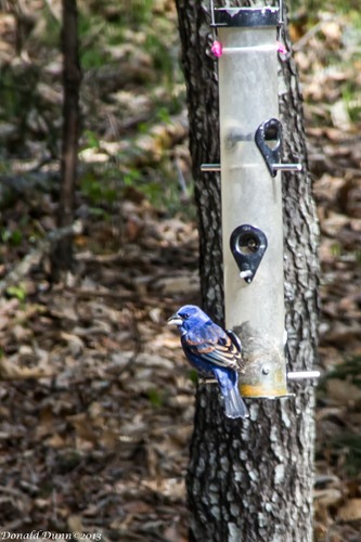 [130420_E-4%255B7%255D.jpg]