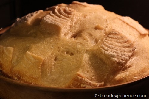 [sourdough-bread036%255B8%255D.jpg]