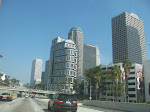 IMG_7830.JPG