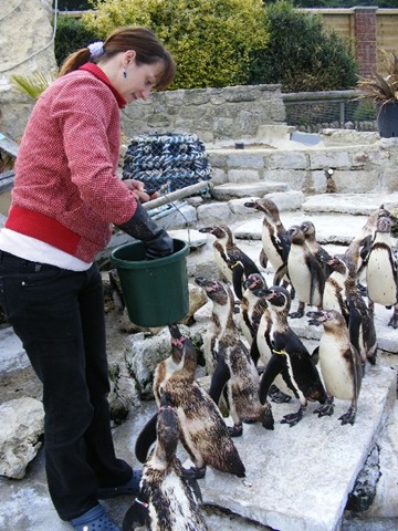 [Serena%2520feeding%2520Penguins%2520DSCF4198%255B8%255D.jpg]