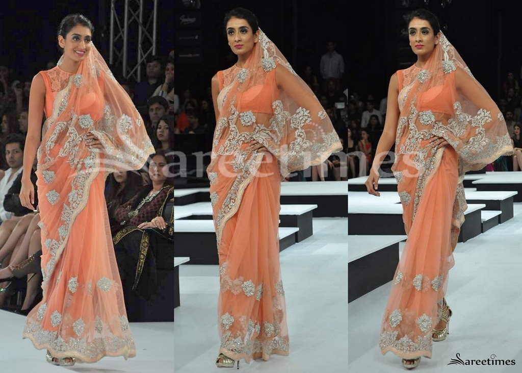 [Shantanu_Nikhil_Saree%255B4%255D.jpg]