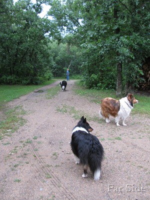 Miney Little Elvis Chance and Gene