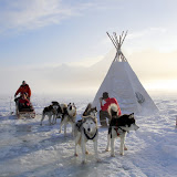 37 - Aventura Husky