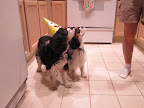 IMG_2268.JPG