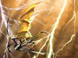 Lightning Dragon