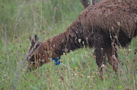 DSC_3640.JPG