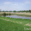 dsc06829.jpg
