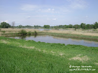 dsc06829.jpg