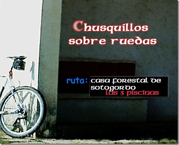 chusquillos SOTOGORDO chusquillos SOTOGORDO