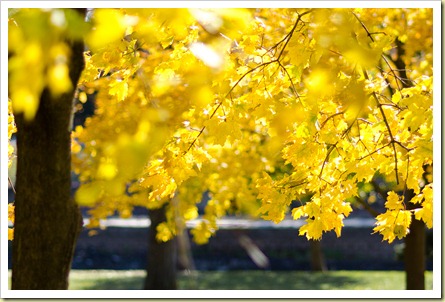 Warmth by Ben 2011-11-01