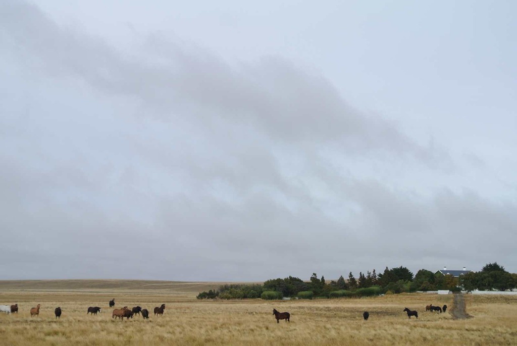 [DSC_0506%255B3%255D.jpg]